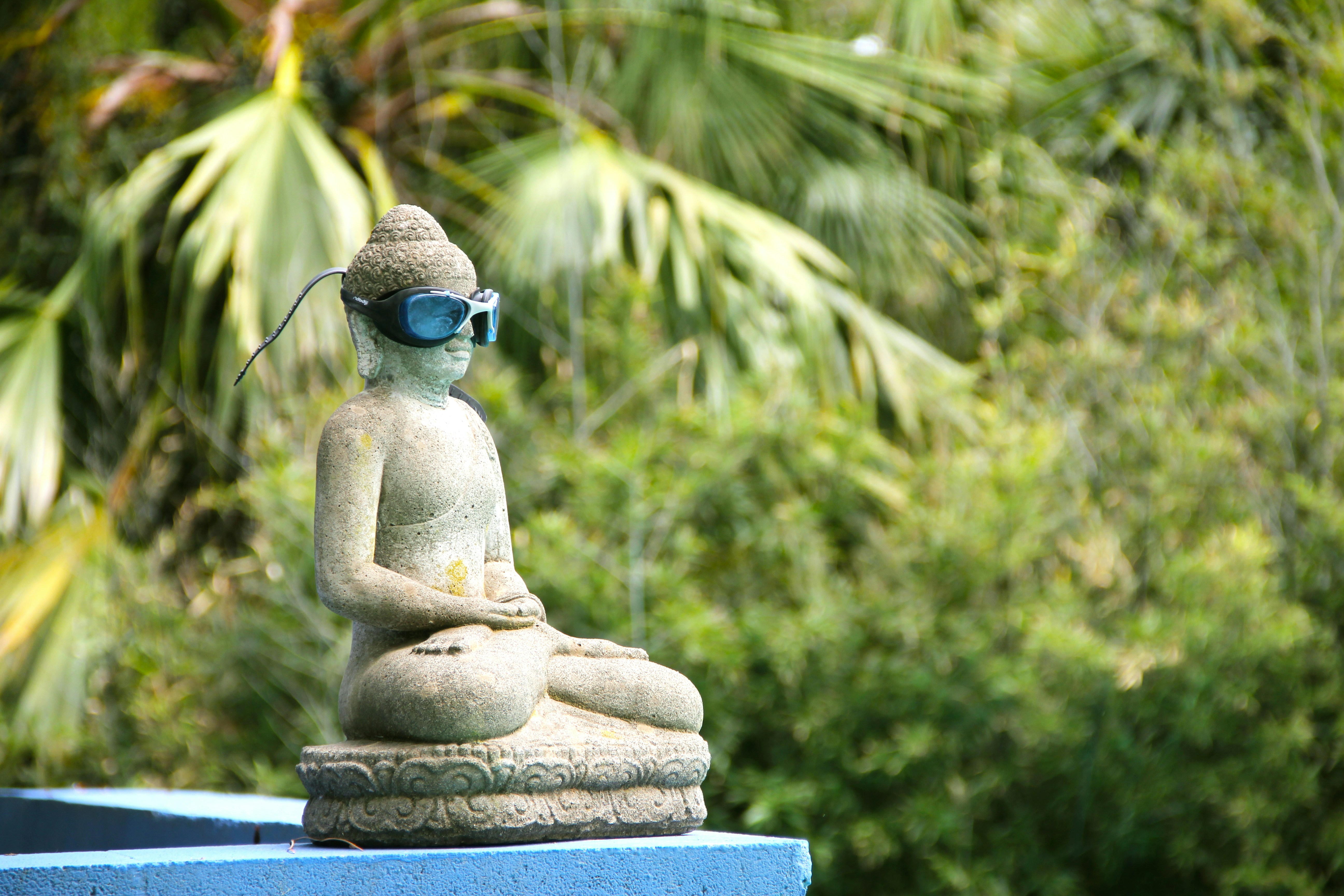 Venue Buddha Wearing Glasses